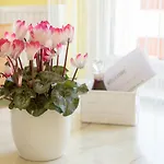 Apartment Paradise Bohinj