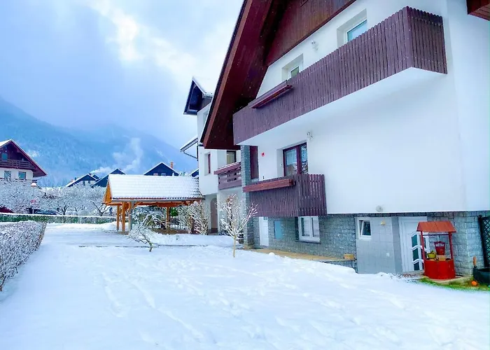 Apartment Paradise *